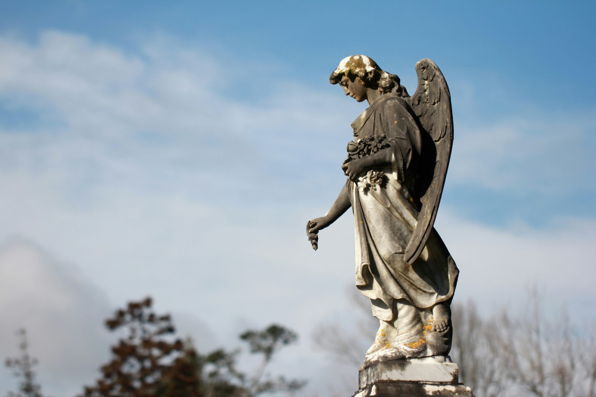 Diritto alla sepoltura e alla possibilità di disporre del proprio cadavere