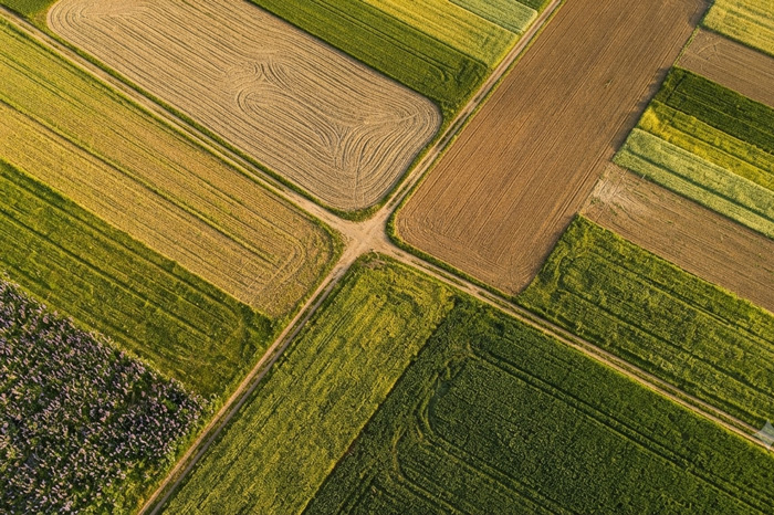 Regime tributario dei terreni agricoli tra imposta di registro e agevolazioni fiscali